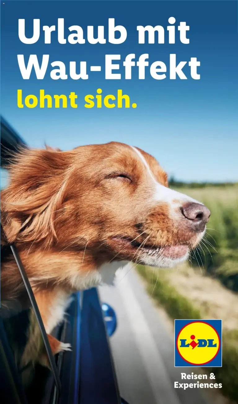 Lidl Reisen Hundeflyer ab 29.07.2026