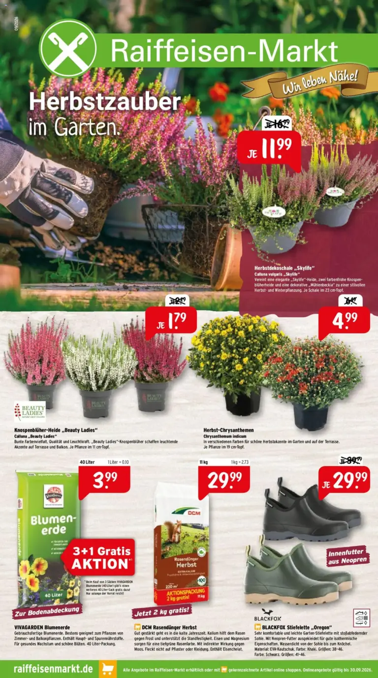 Raiffeisen Markt Prospekt ab 01.09.2026