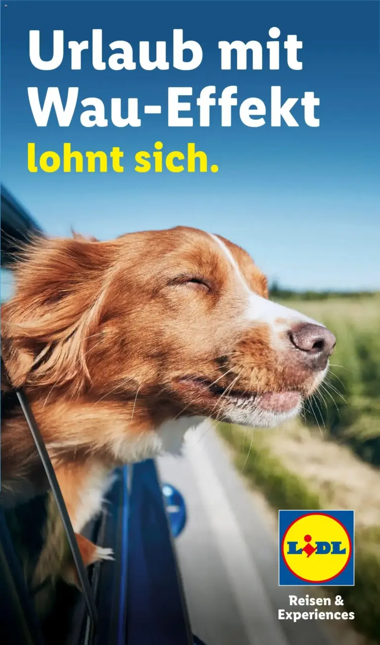 Lidl Reisen Hundeflyer vom 29.07.2026 bis 31.12.2026