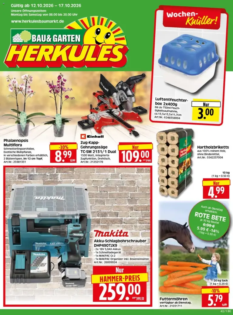 HERKULES Bau & Garten vom 12.10.2026 bis 17.10.2026